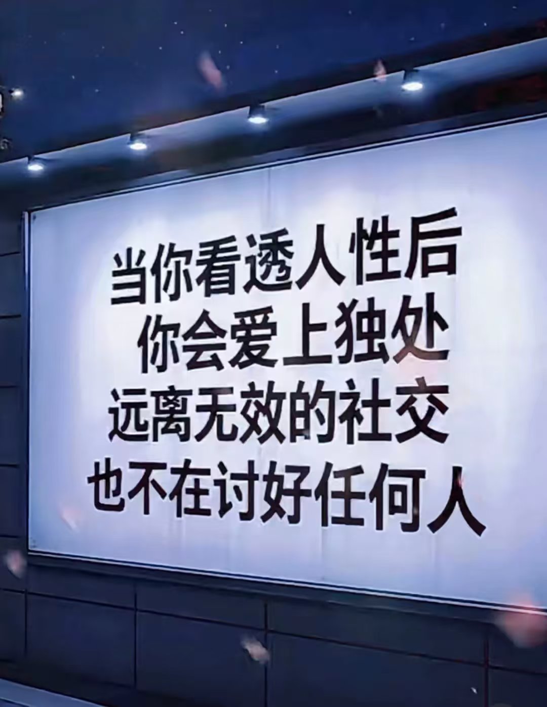 成年人只有自渡